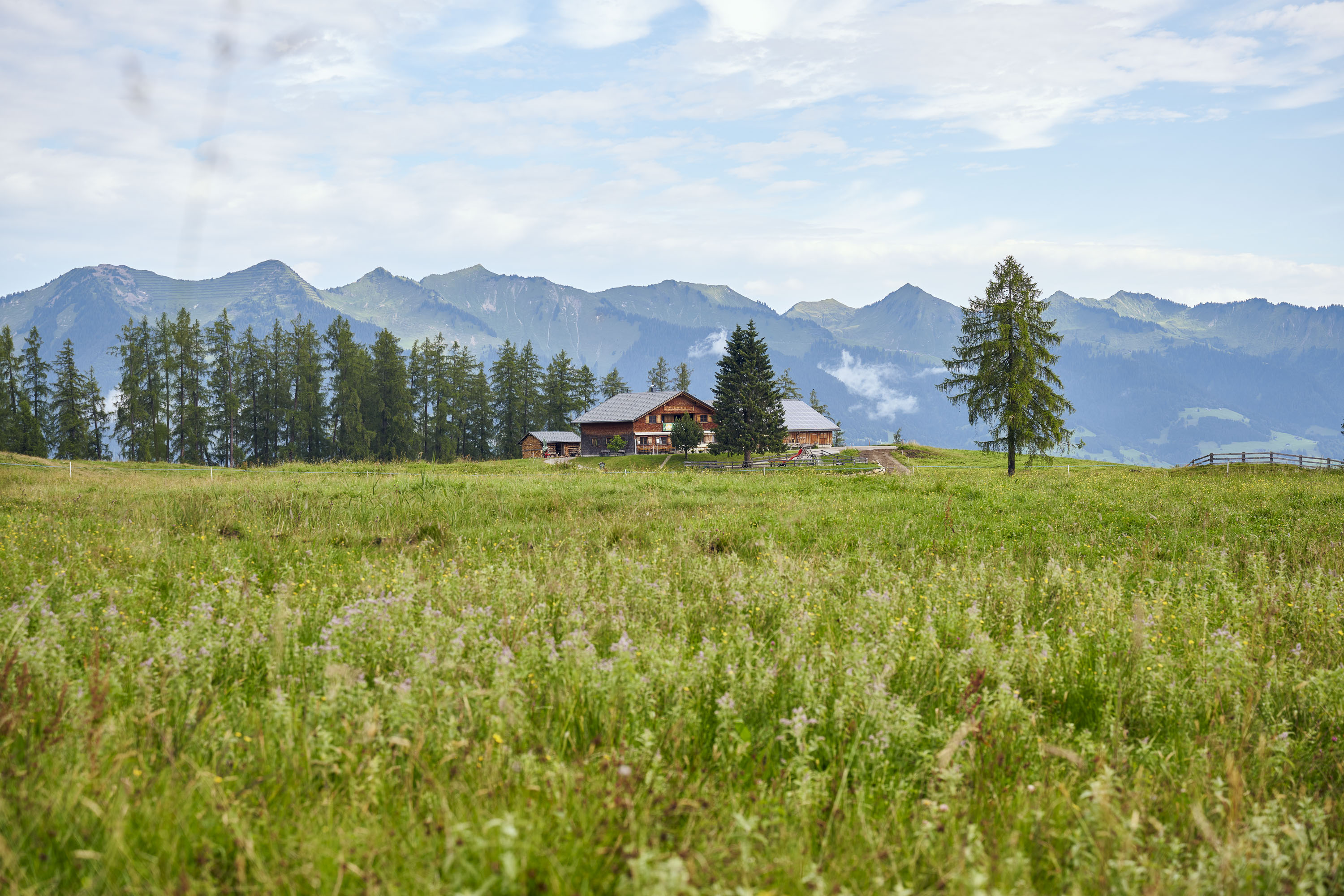 Bürserberg
