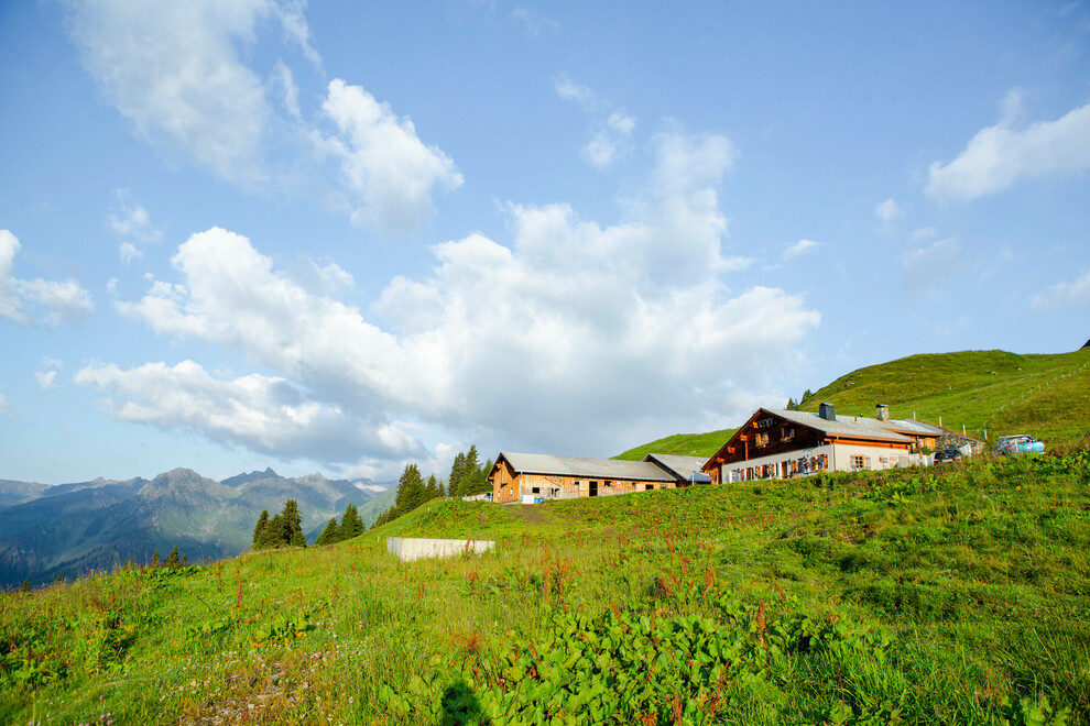 Zamangalpe