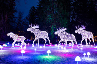 Lumagica Innsbruck