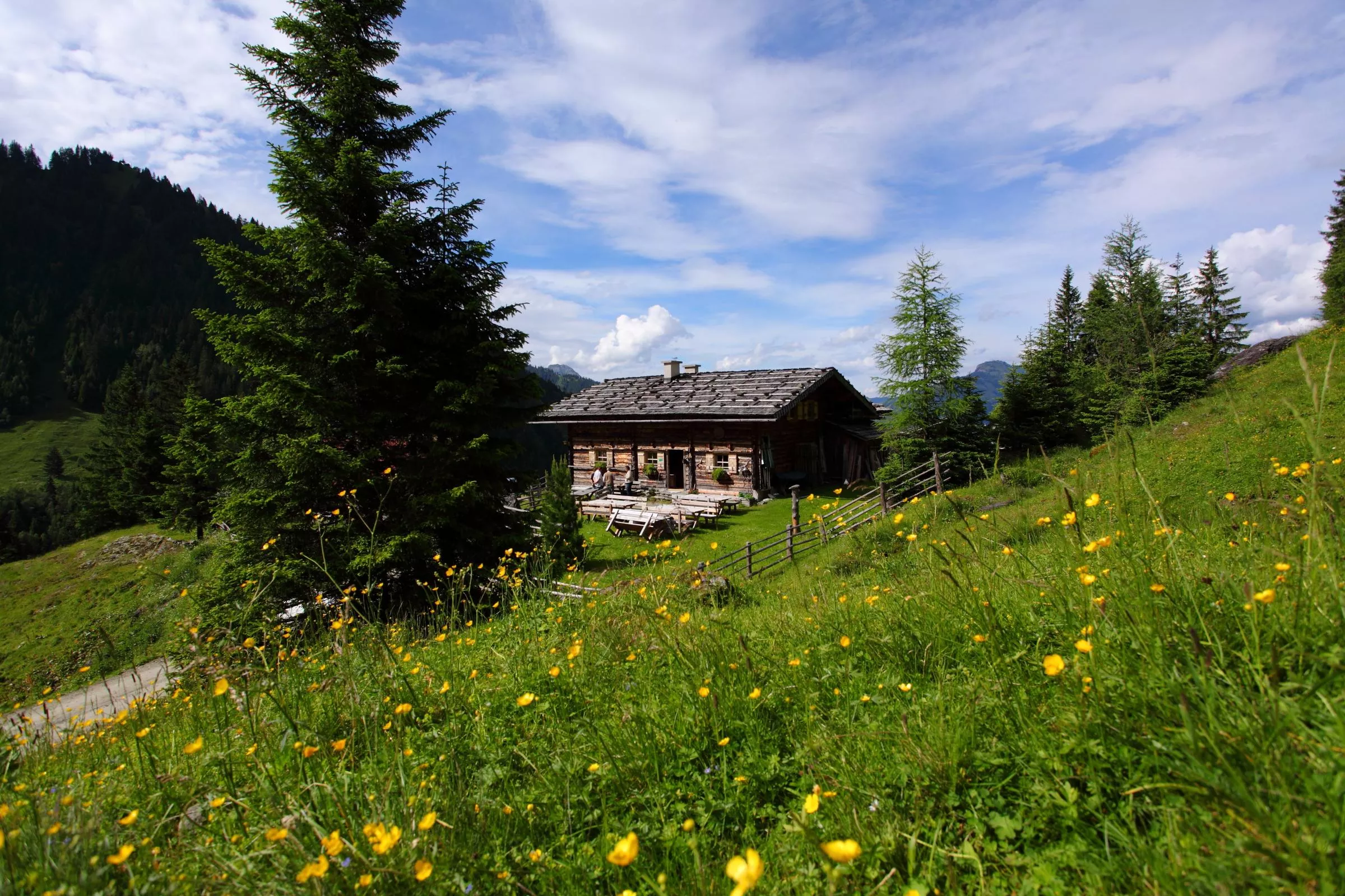 Bachalm, 1.535 m