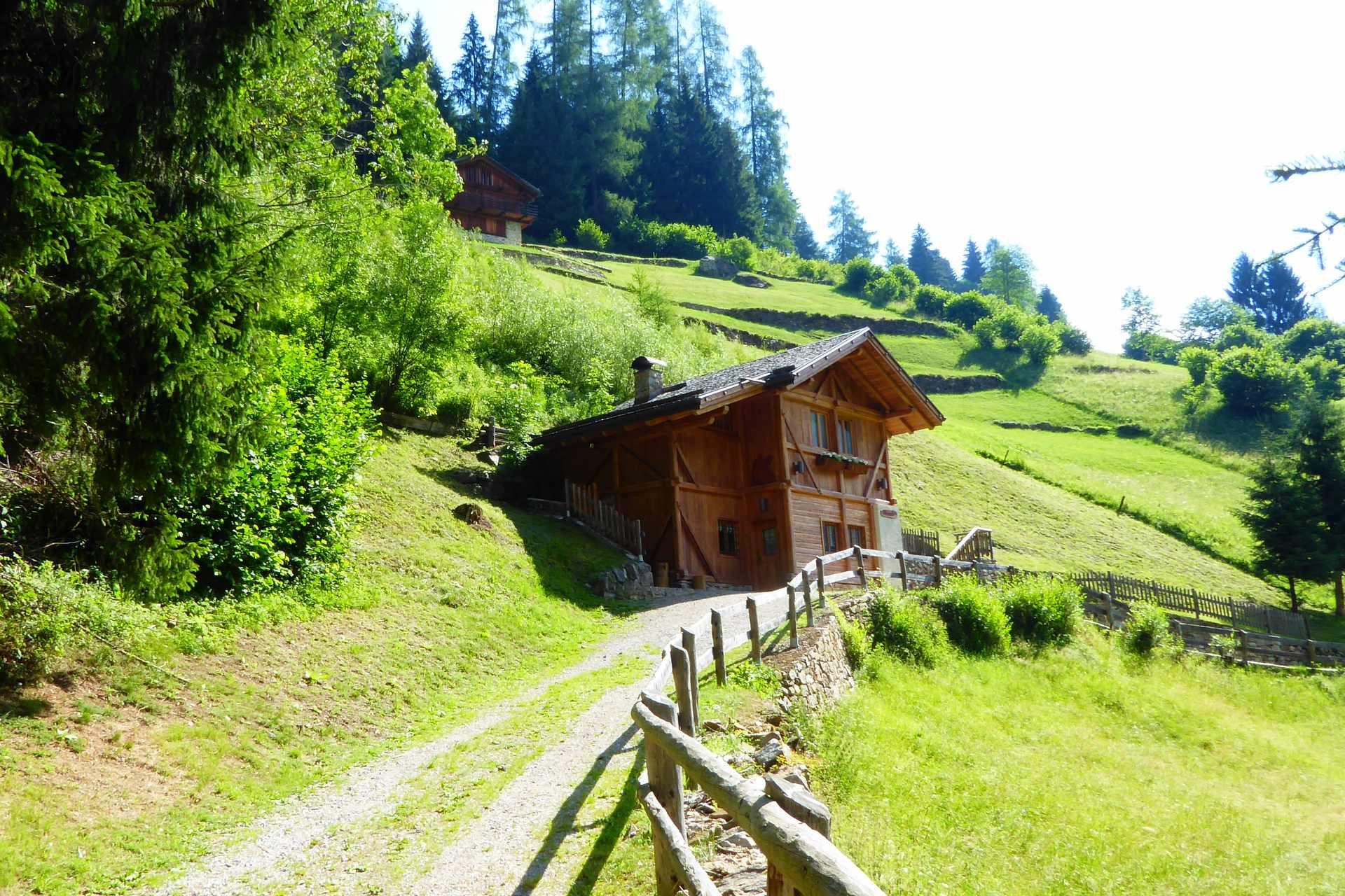 Bambi Chalet