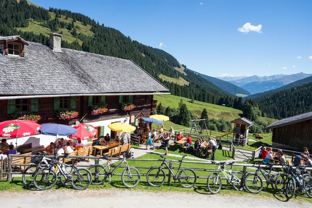 Baumgartenalm 1.402 m im Mühlbachtal