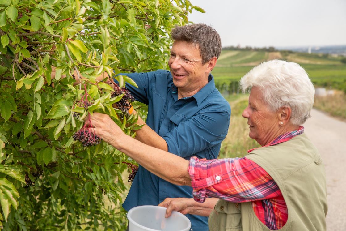 Projekt "Regionale Gehölzvermehrung"
