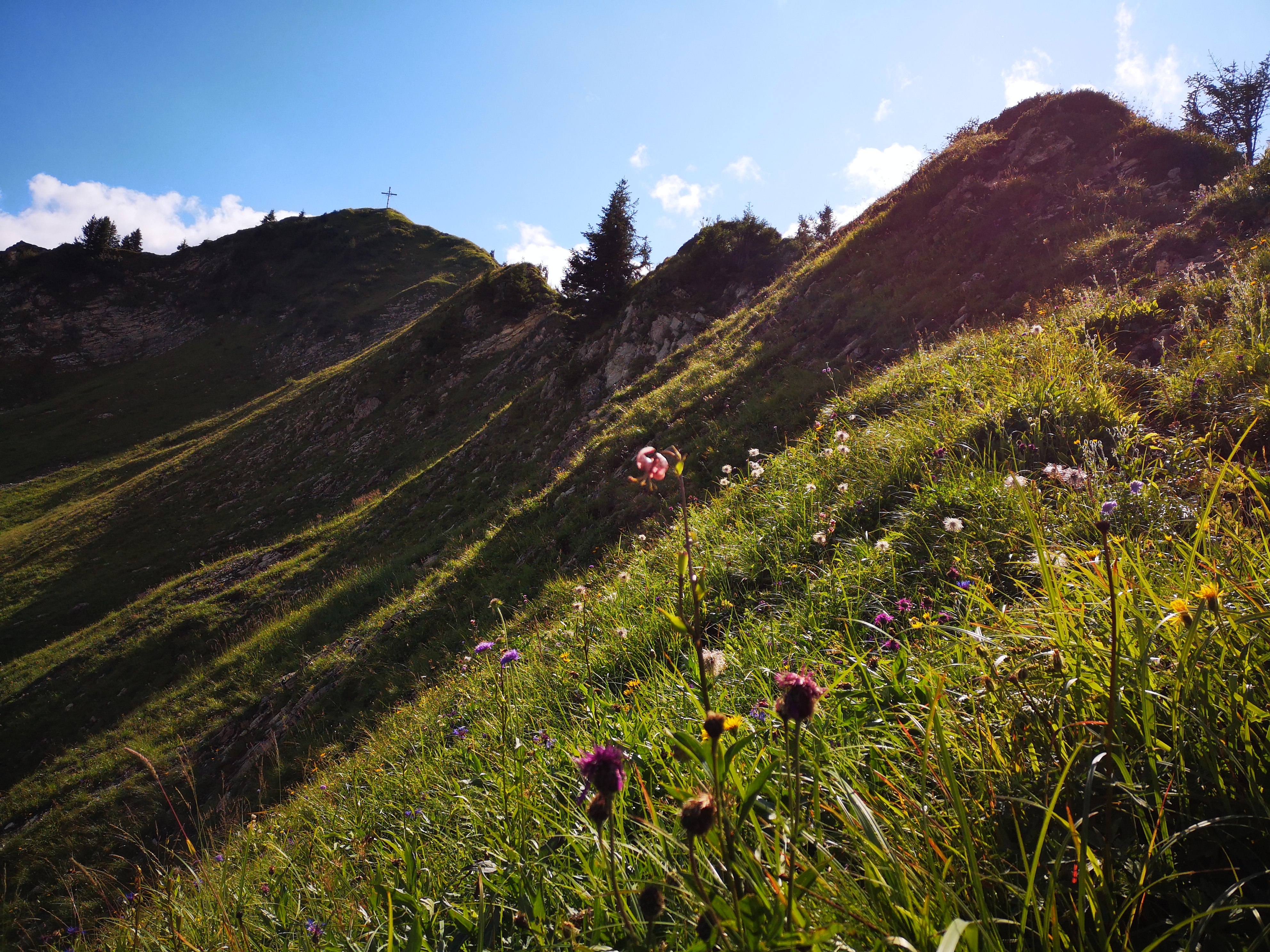 Gerenspitze