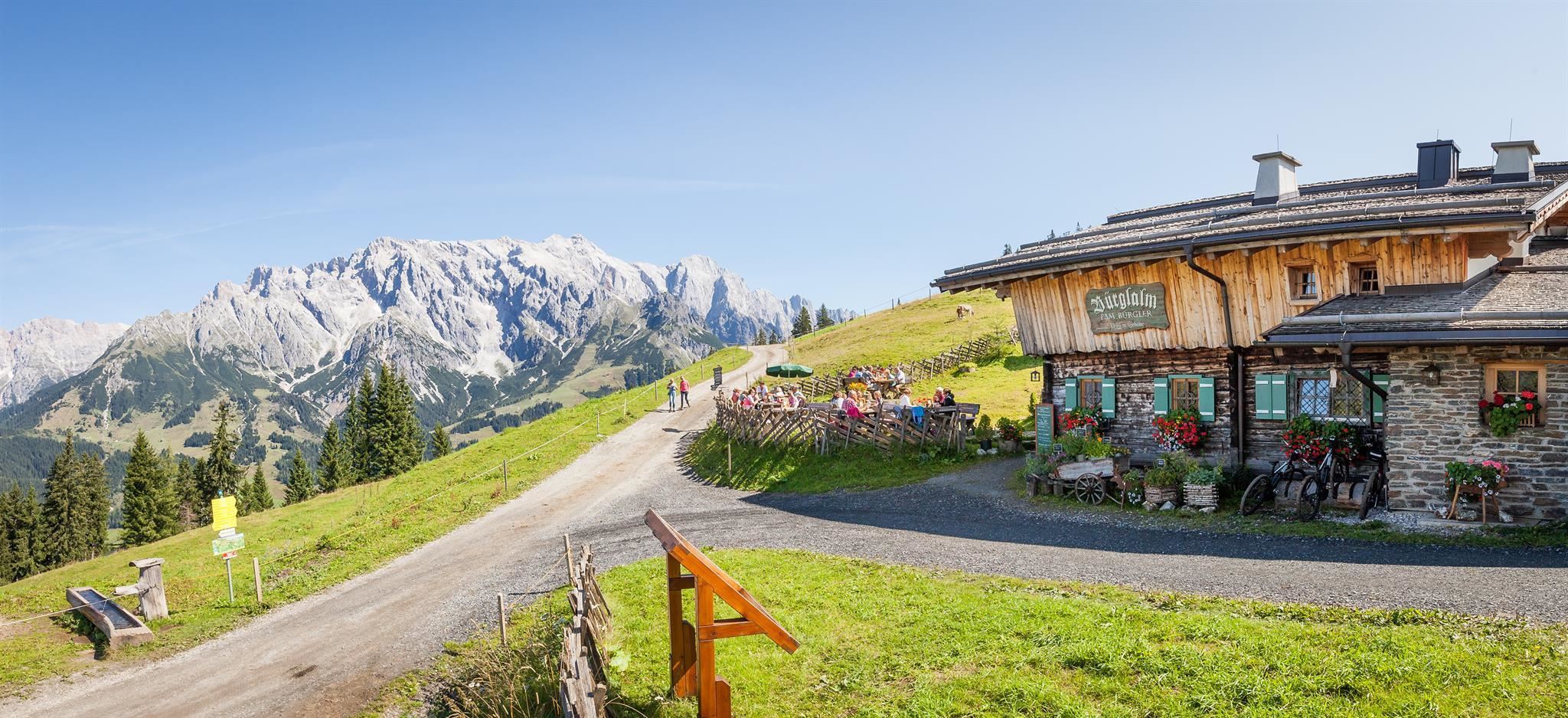 Bürglalm 1.593 m