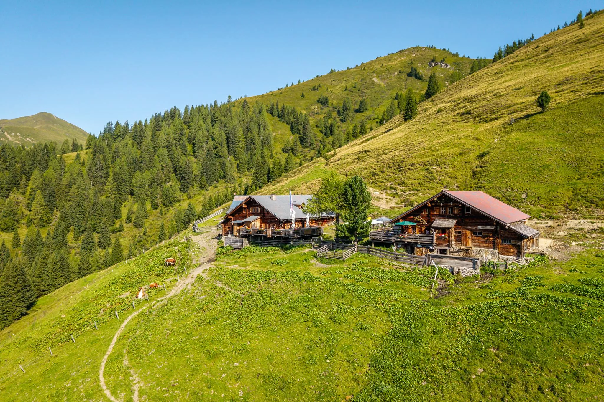 Draugsteinalm-Schrambachhütte, 1.778 m
