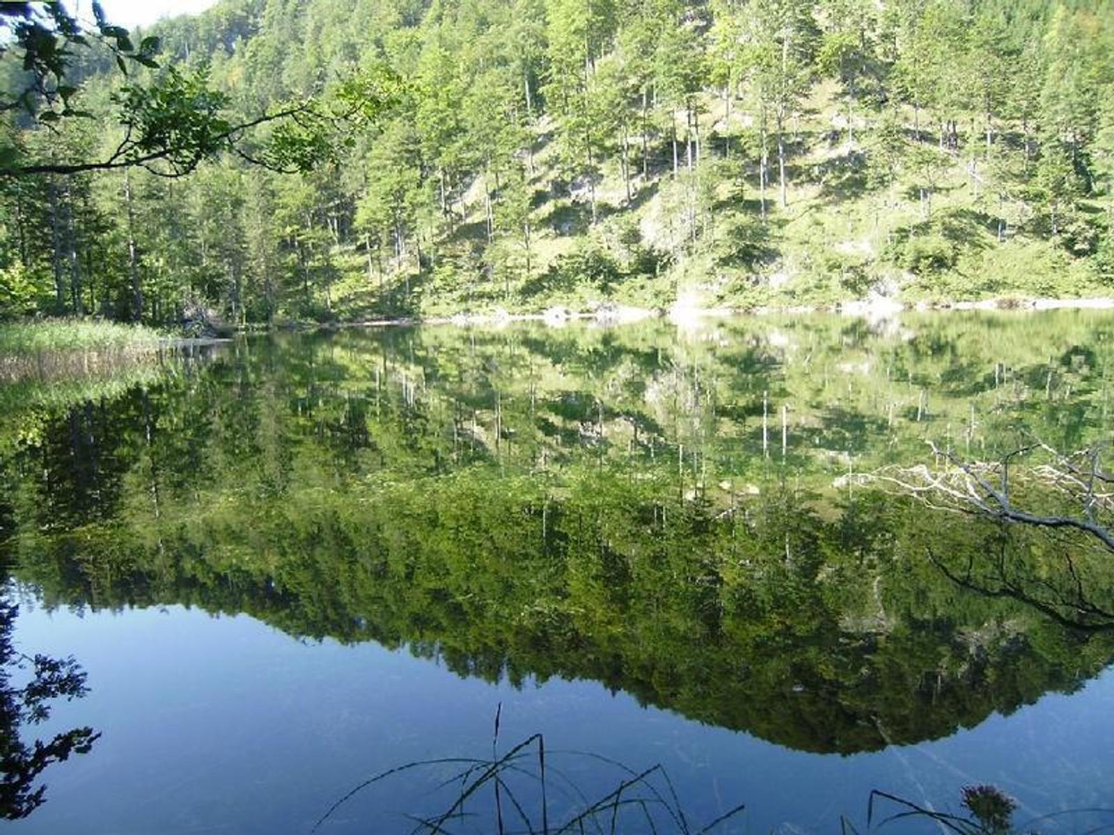 Eibensee Hochmoor Wildmoos Marienköpfl