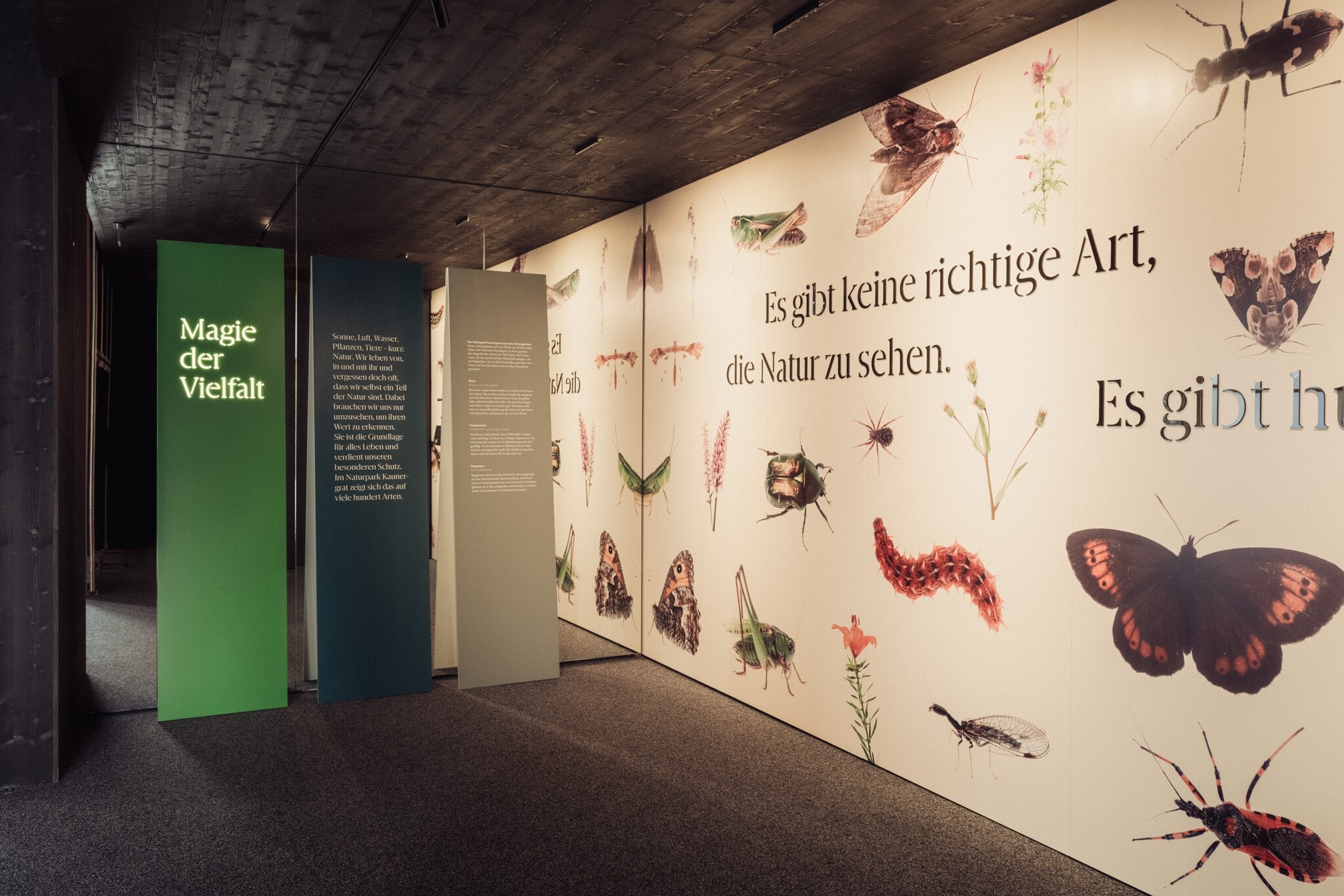 Ausstellung Magie der Vielfalt