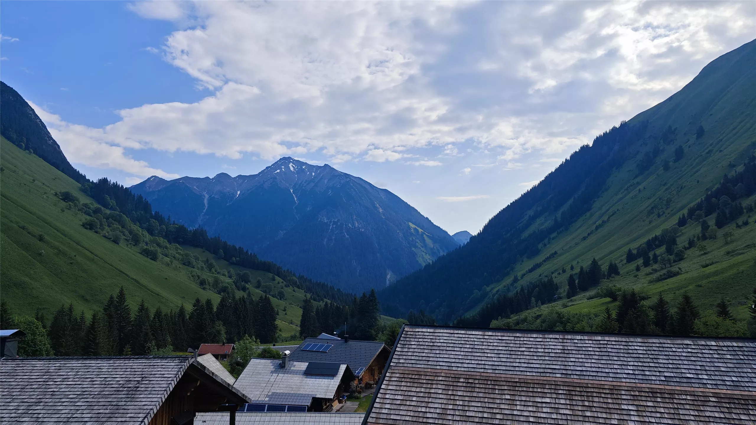 Wildbeobachtungsstand Fallerschein