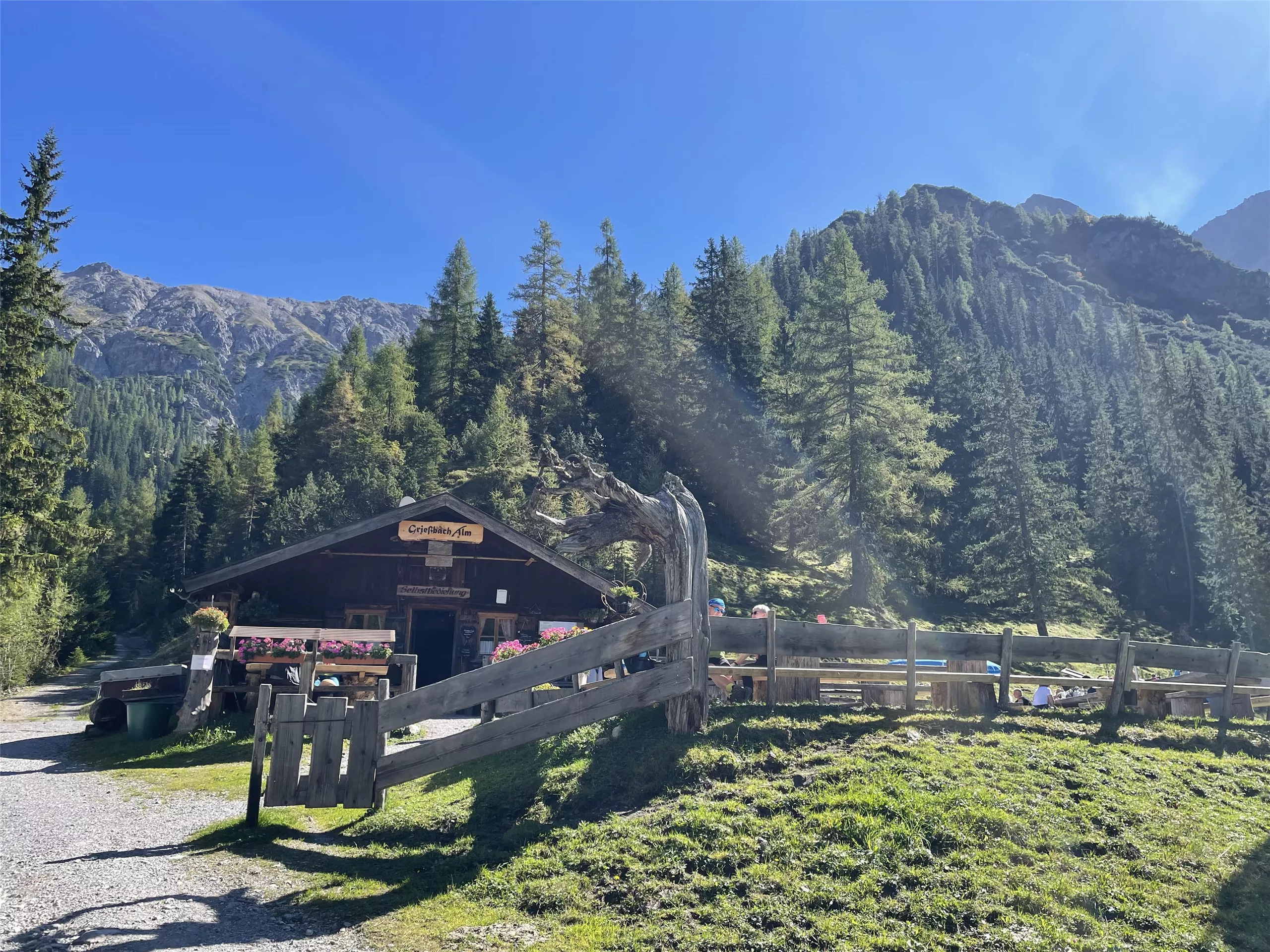 Grießbach Alm 1.496 m