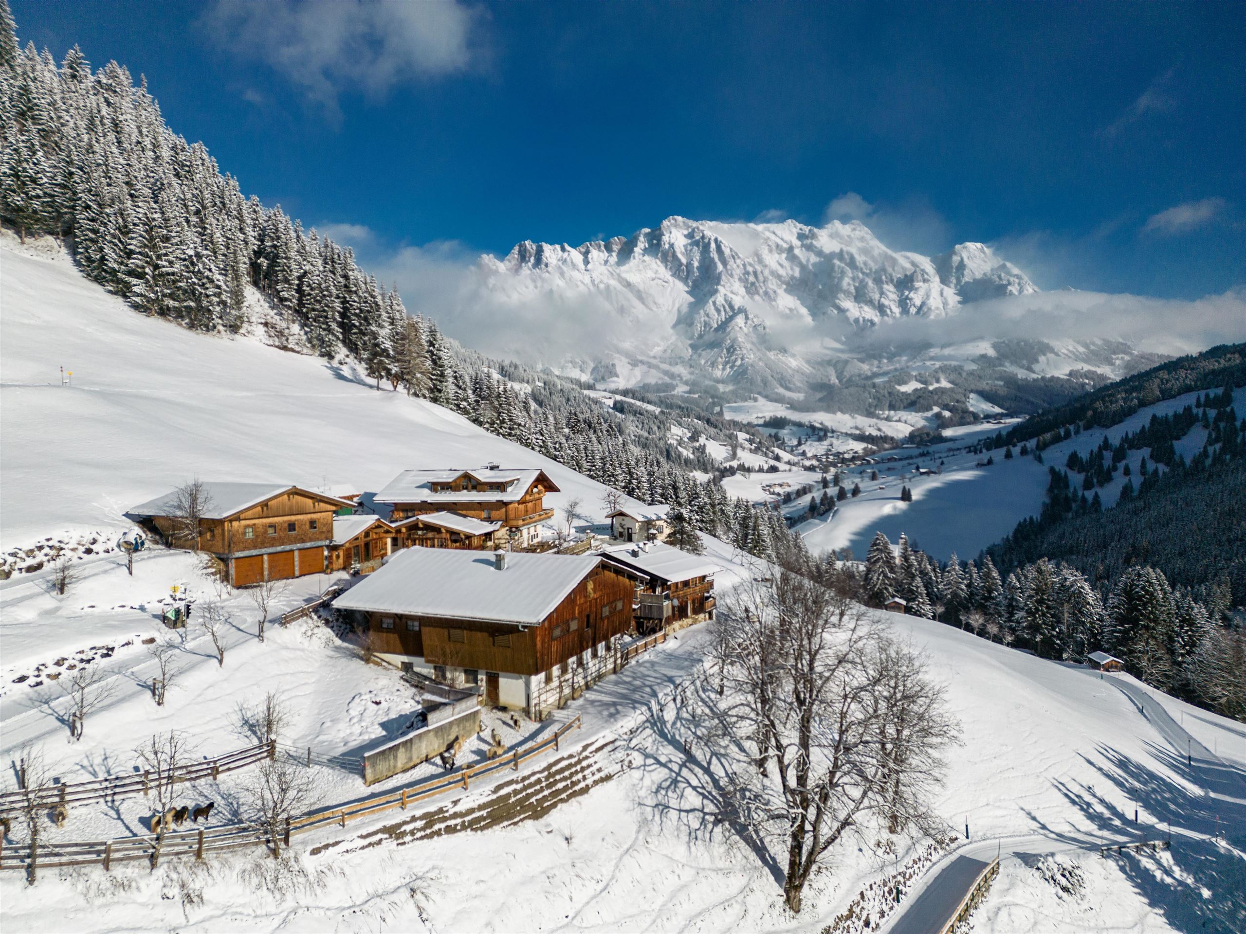Grünegg Alm