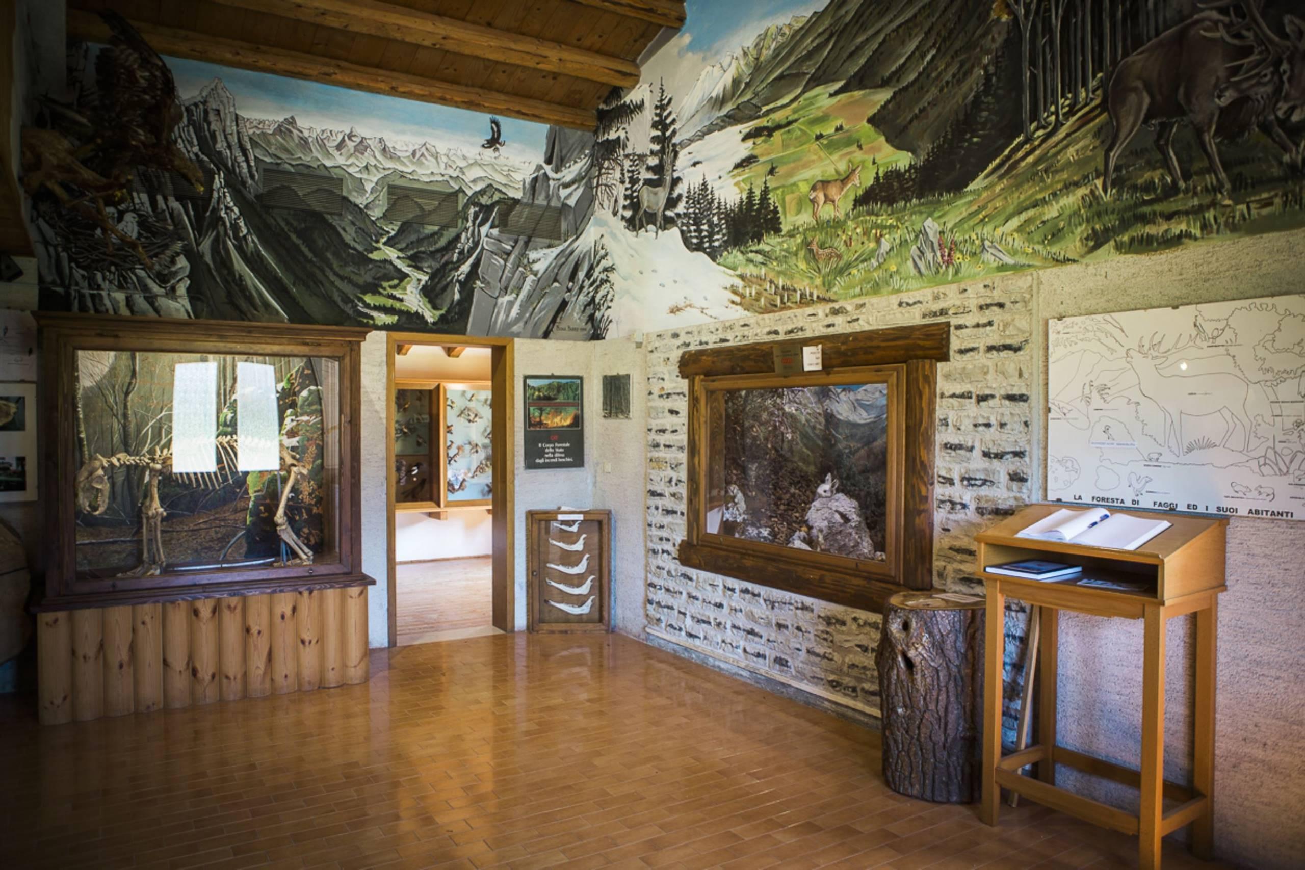 Museo Naturalistico “Giovanni Zanardo”