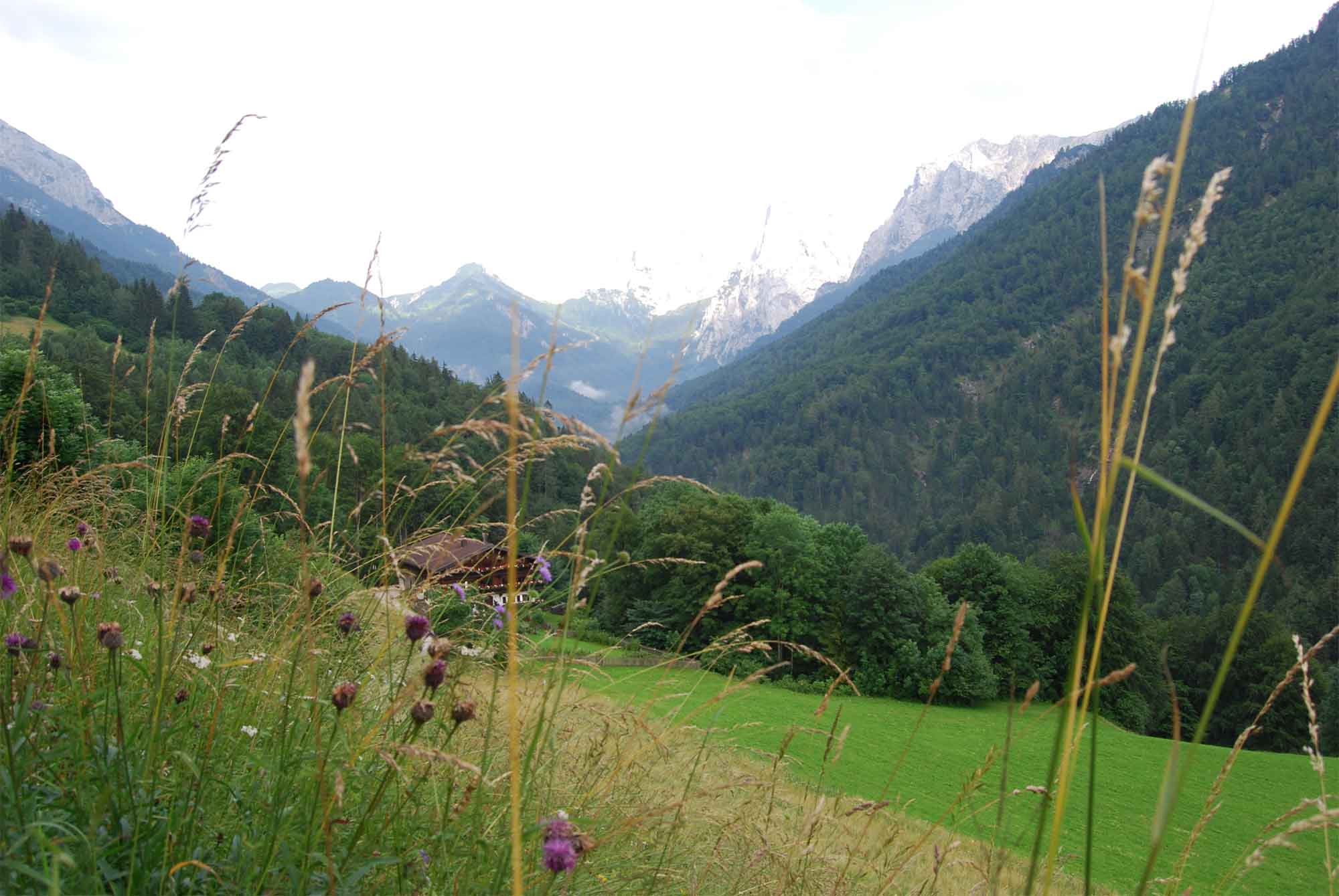 Alpengasthof Pfandlhof