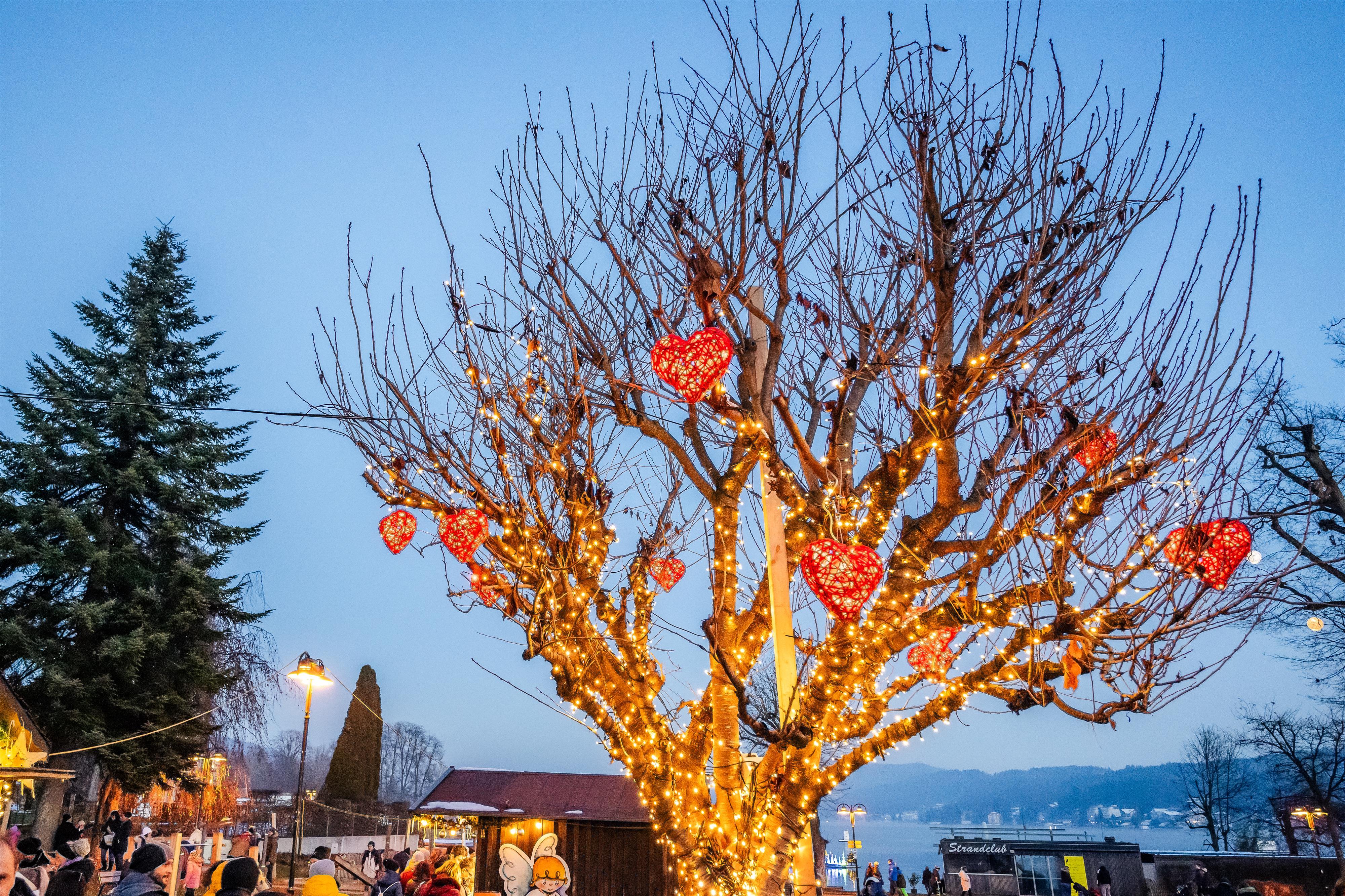 Lichterpark und Kissing Tree in der Engelstadt