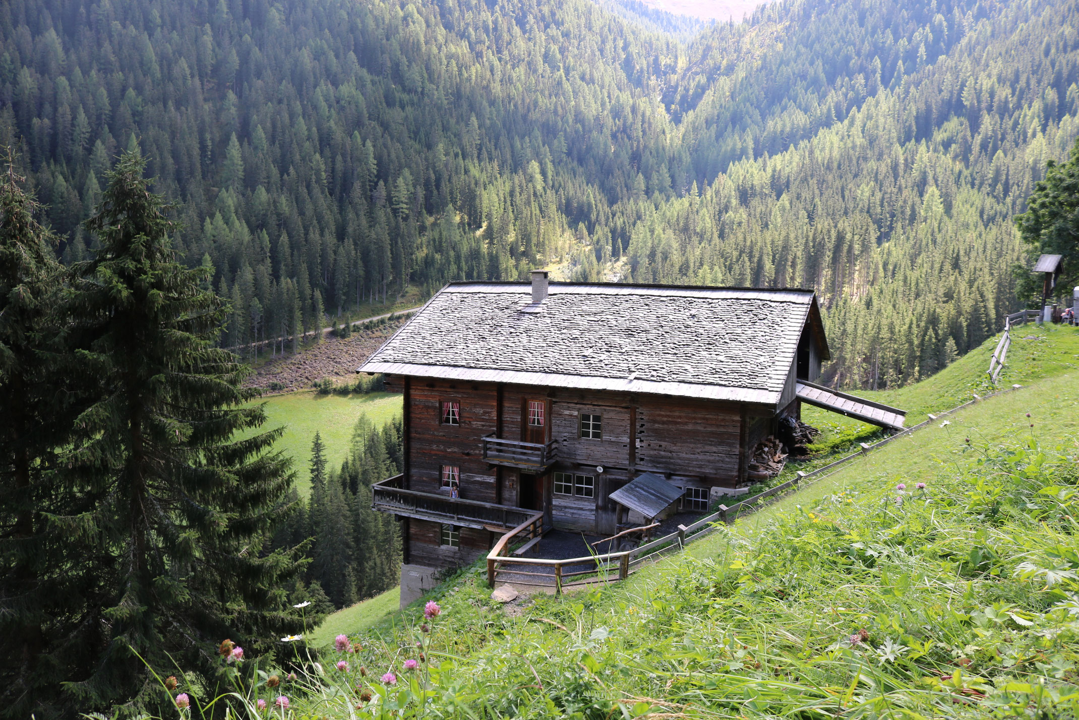 Oberhoferalm Steidl