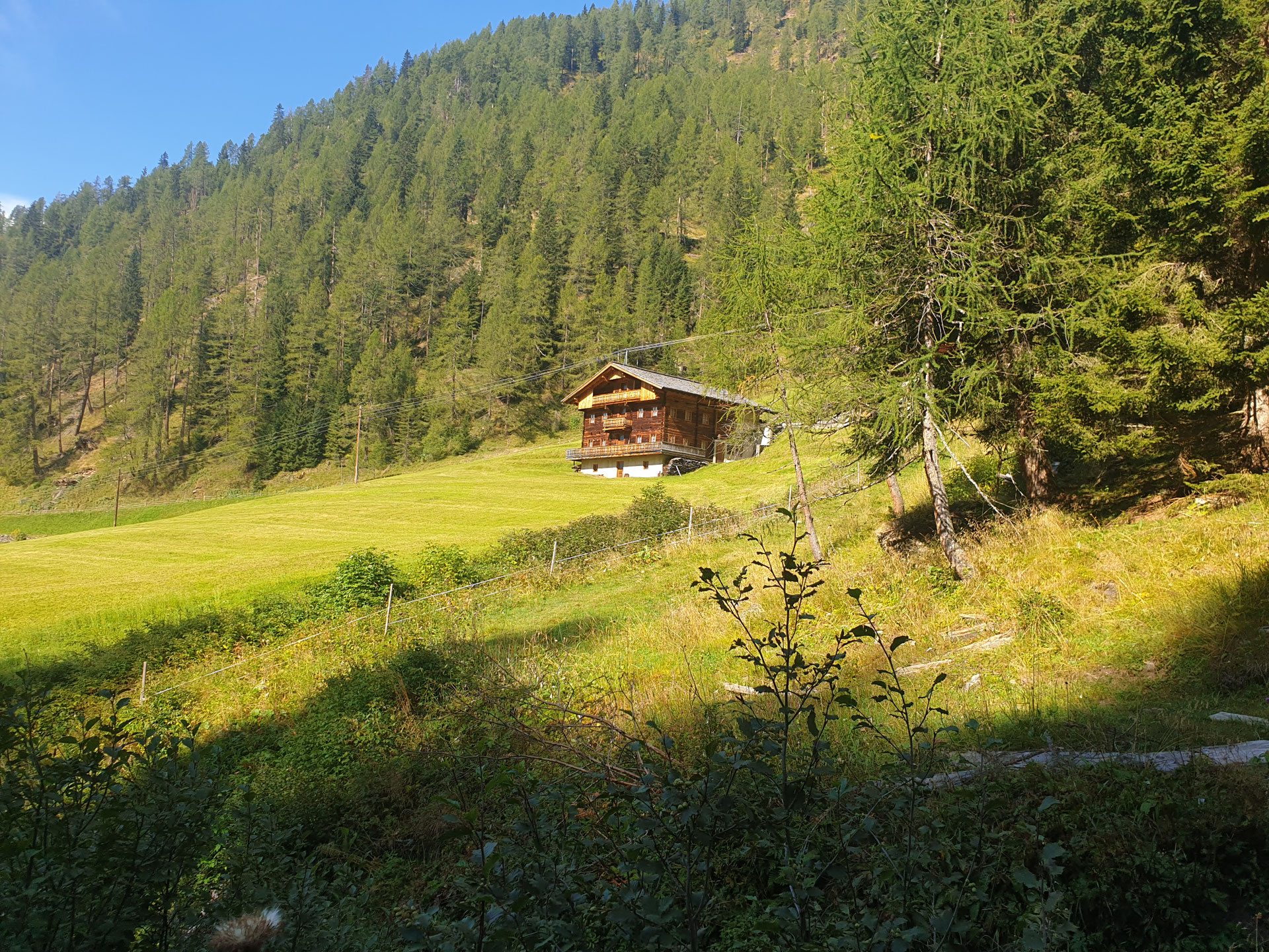 Almhütte Thaletalm
