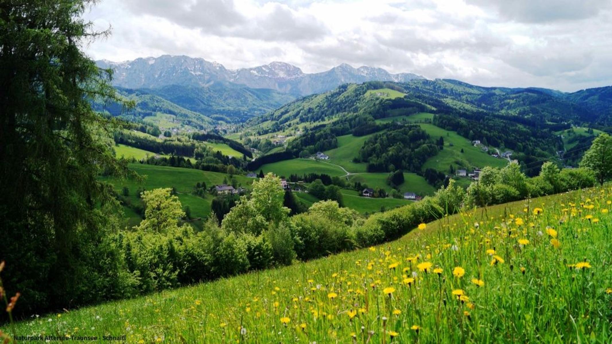 Naturpark Attersee-Traunsee