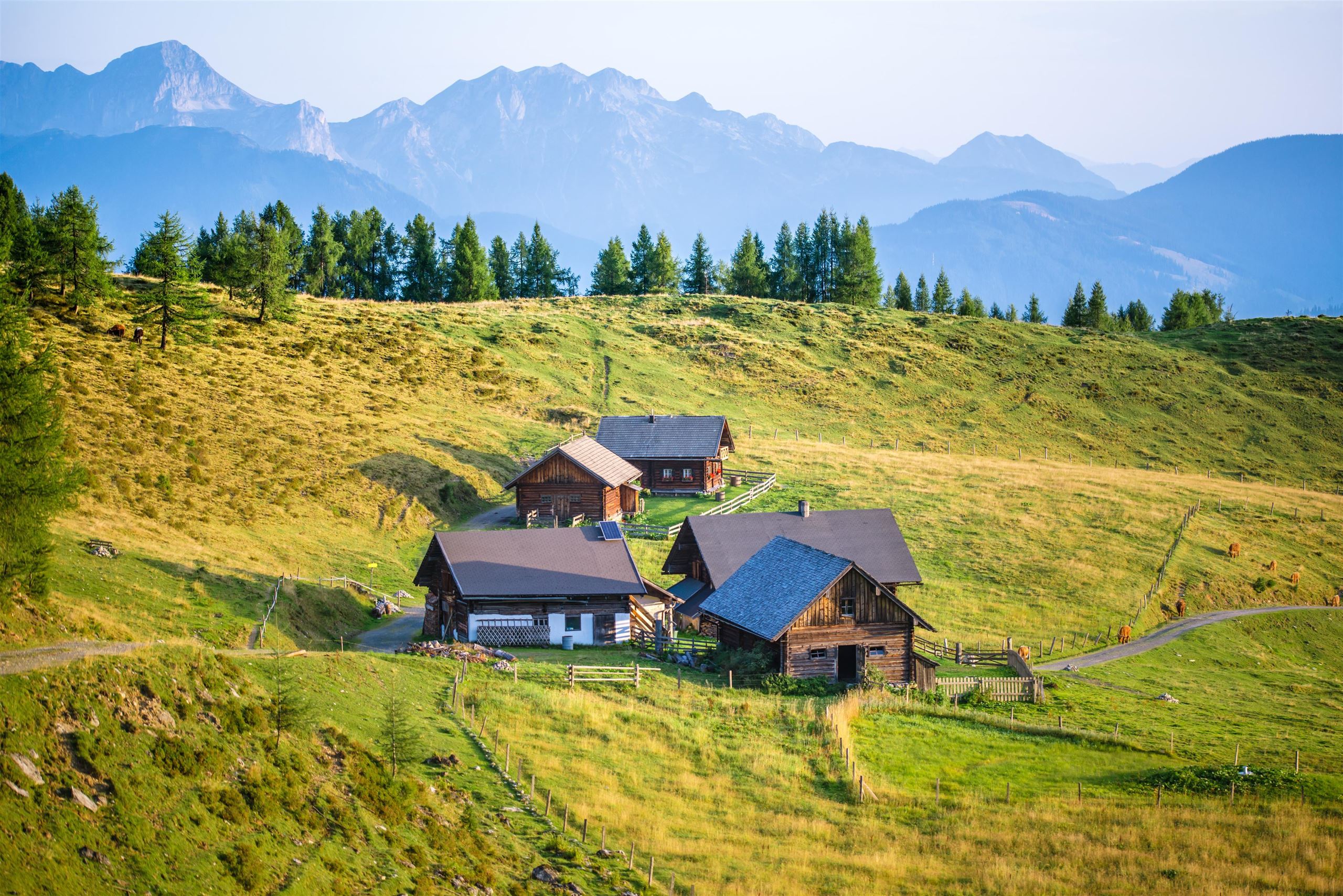 Die urige Hinterkuchlberghütte