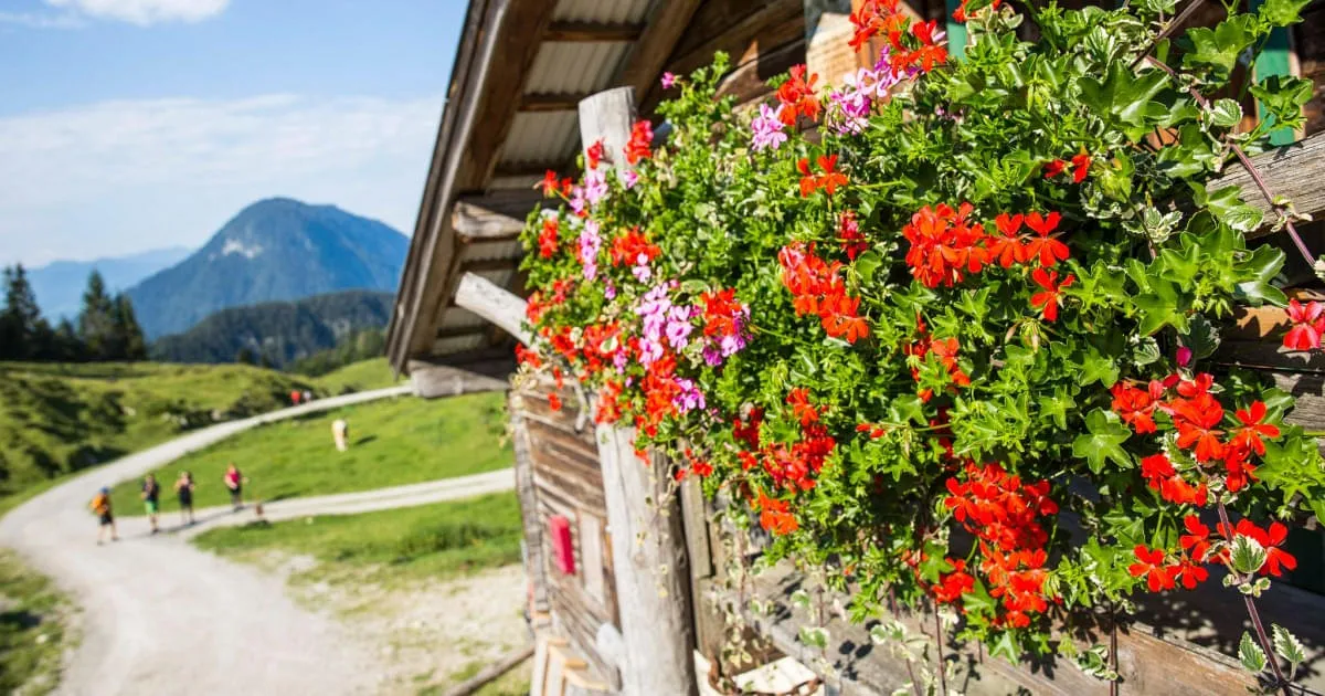 Zur Linä - Stöfflhütte auf der Walleralm