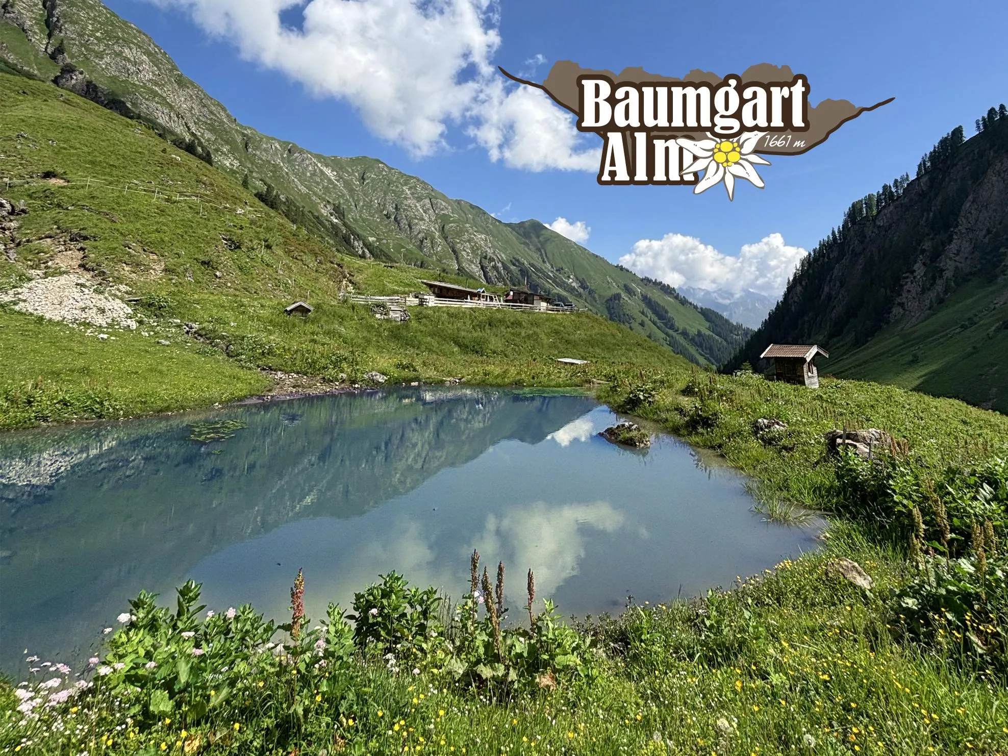 Baumgartalm 1.661 m