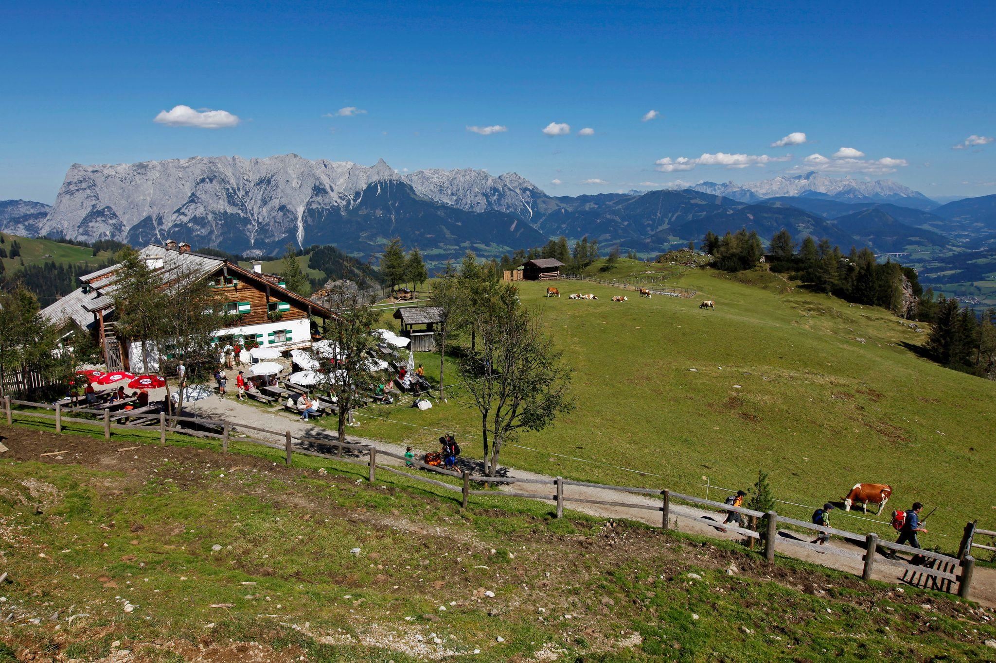 Mitterfeldalm 1.670 m
