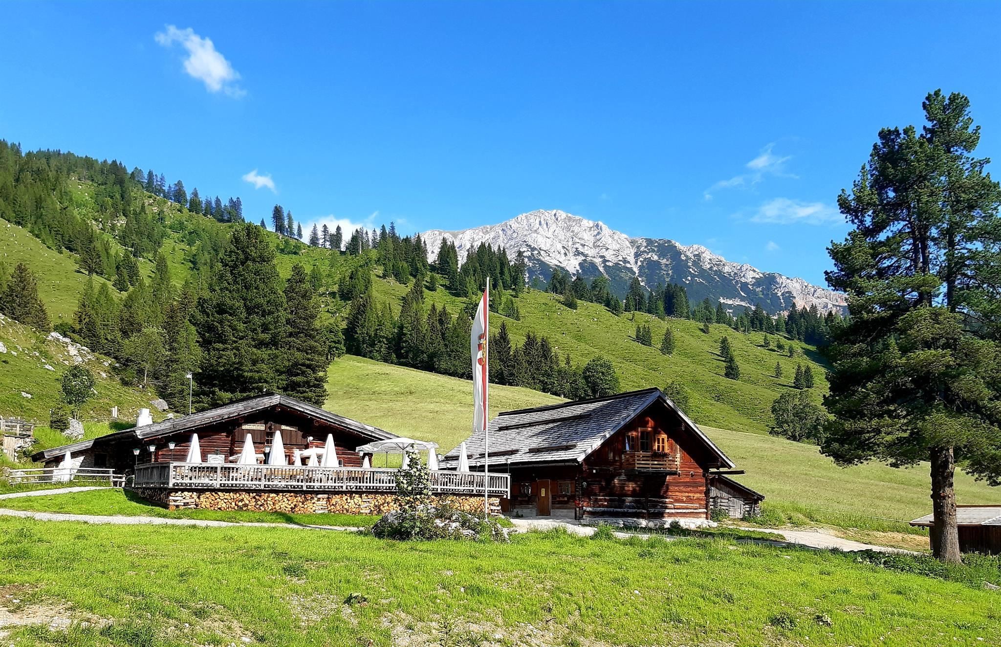 Oberhofalm 1.268 m