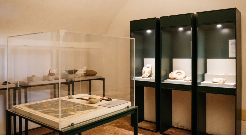 Botanischer Garten und Fossilien-Museum