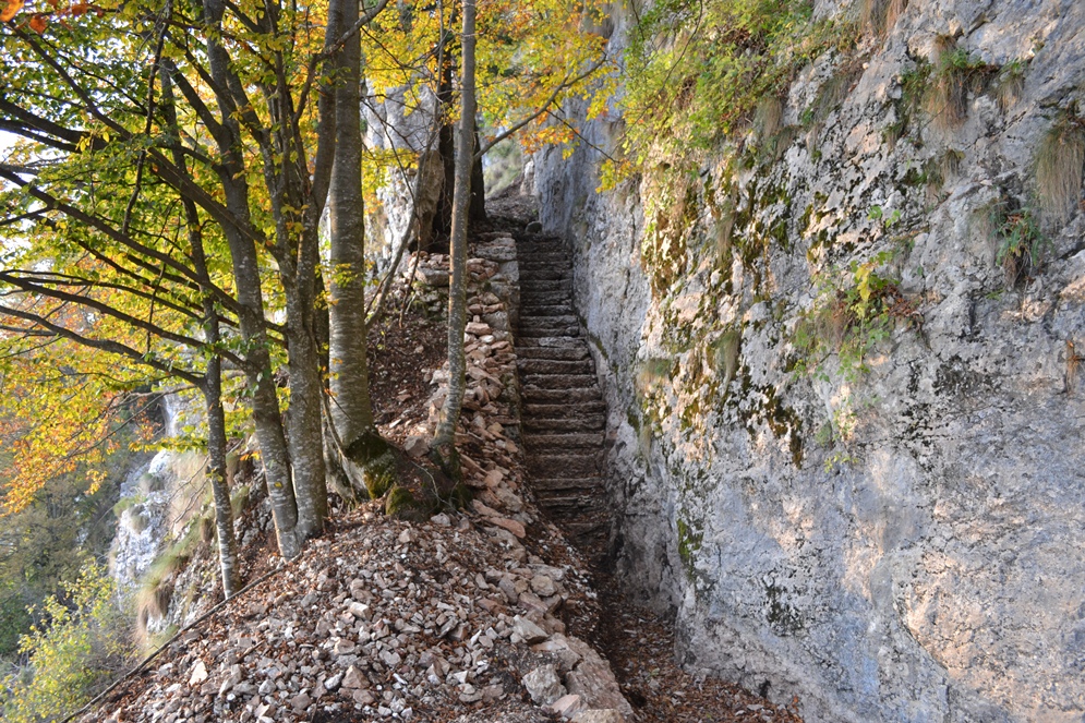 Terragnolo