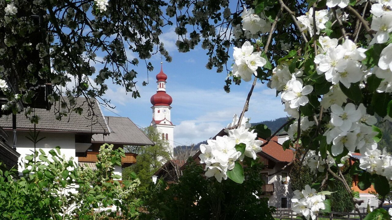 Radfeld