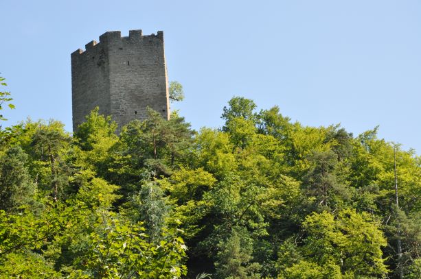 Ruine Freyenstein