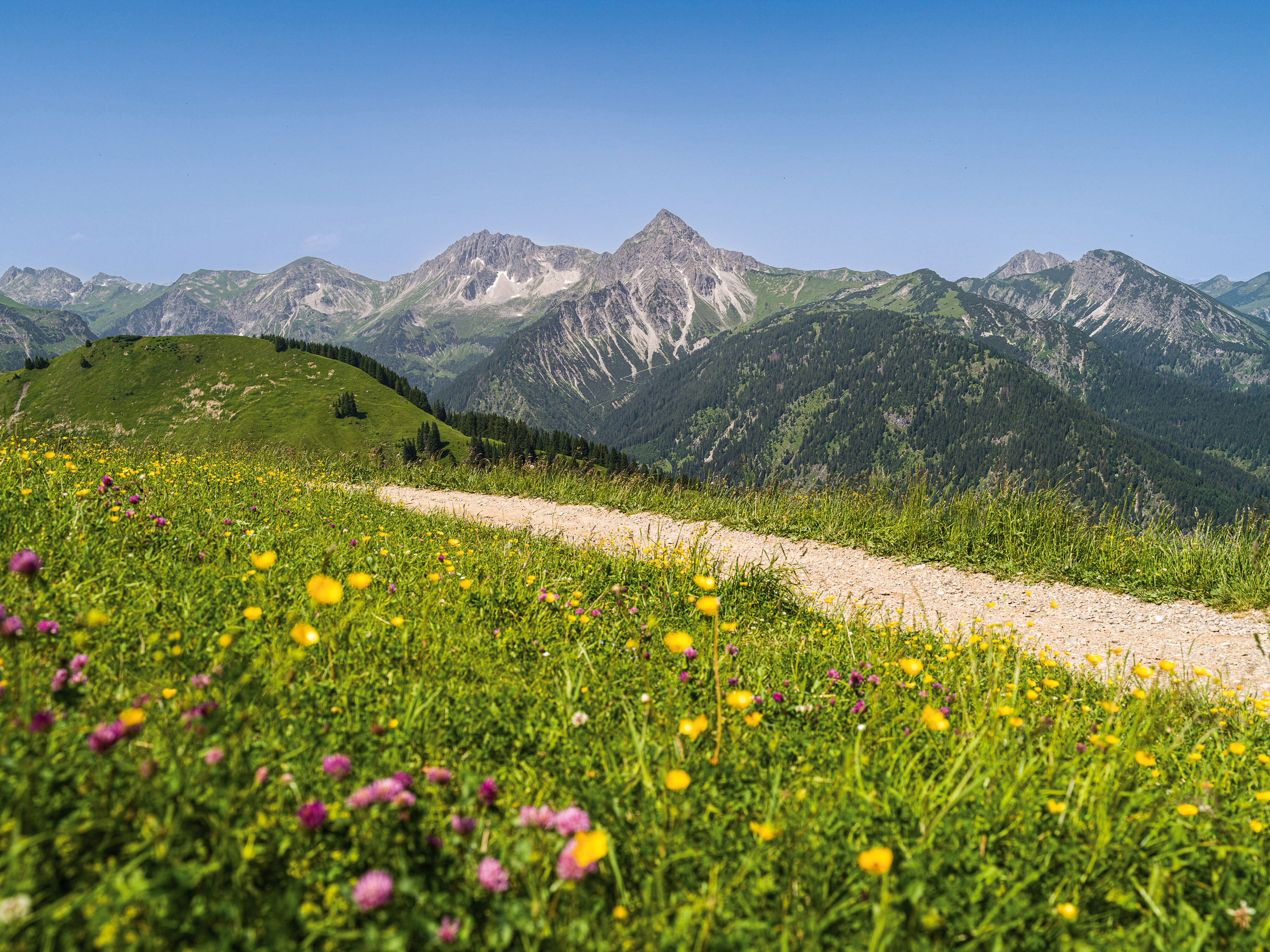 Bergbahnen Tannheimer Tal - Füssener Jöchle