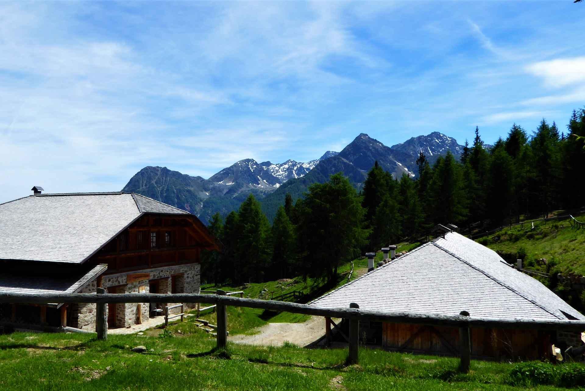 Malga Caldesa Bassa