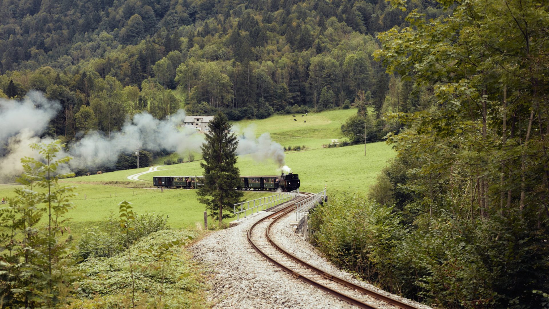 Fahrt mit dem Wälderbähnle