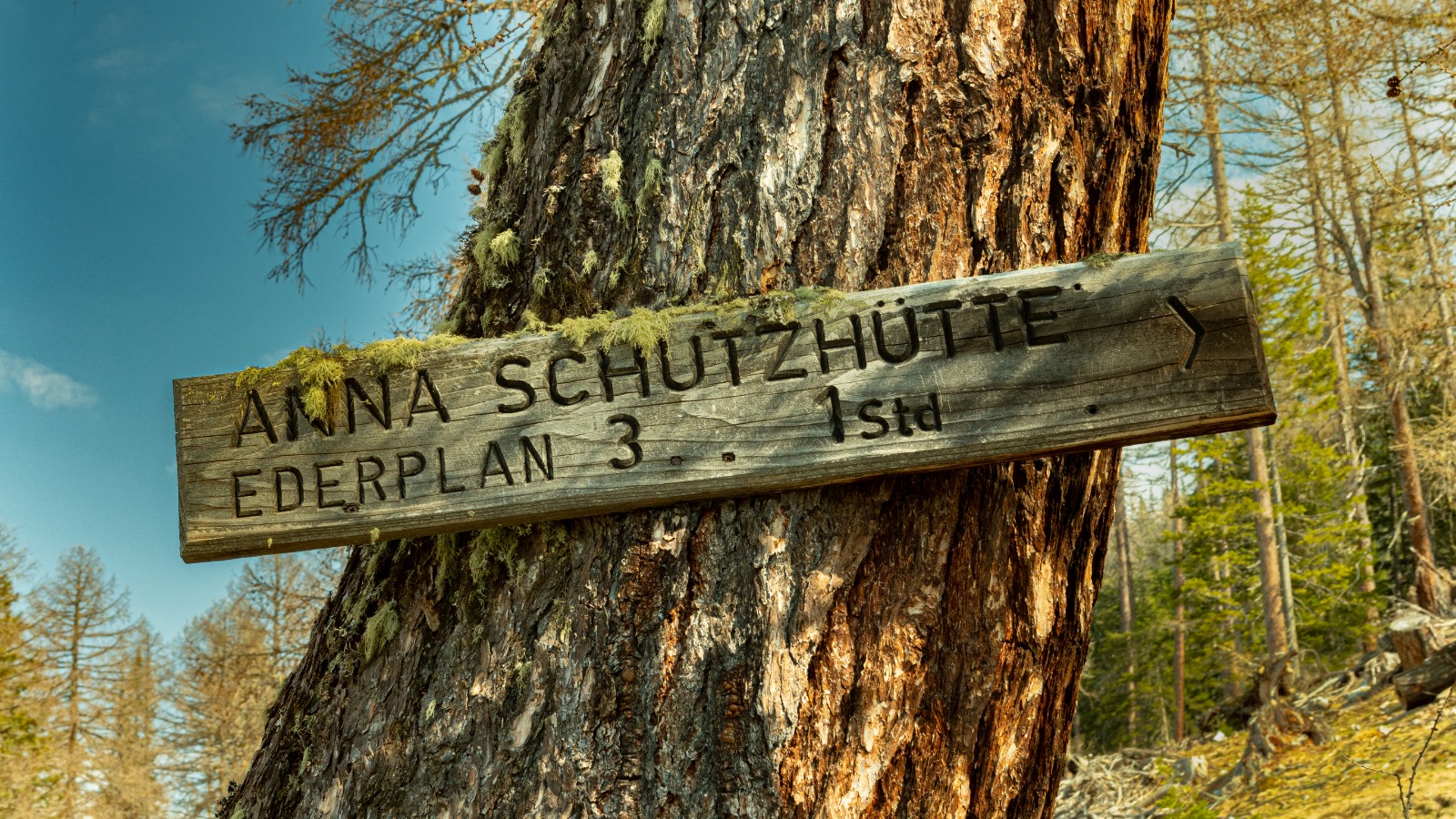Anna Schutzhaus 1.992m