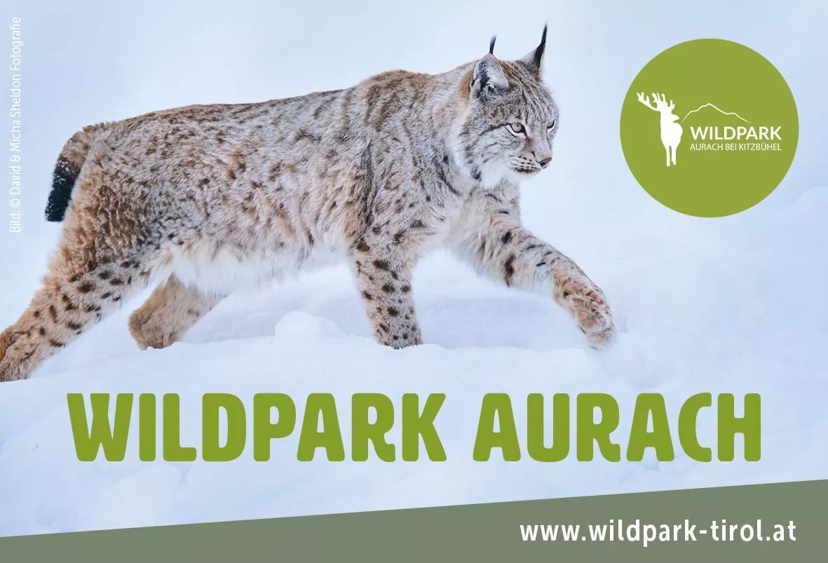 Wildpark Aurach