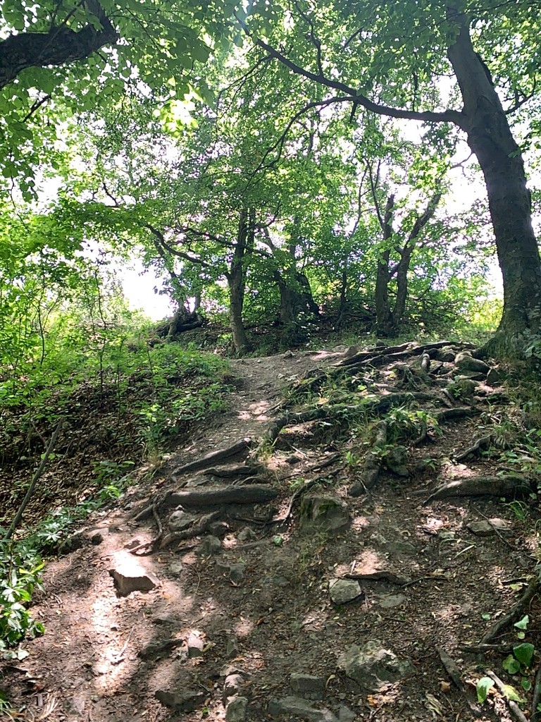 Photo №2 of Vár-bérc