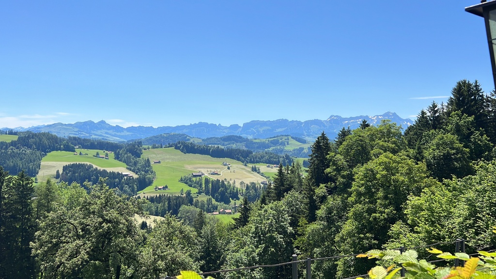 Photo №2 of Waldegg