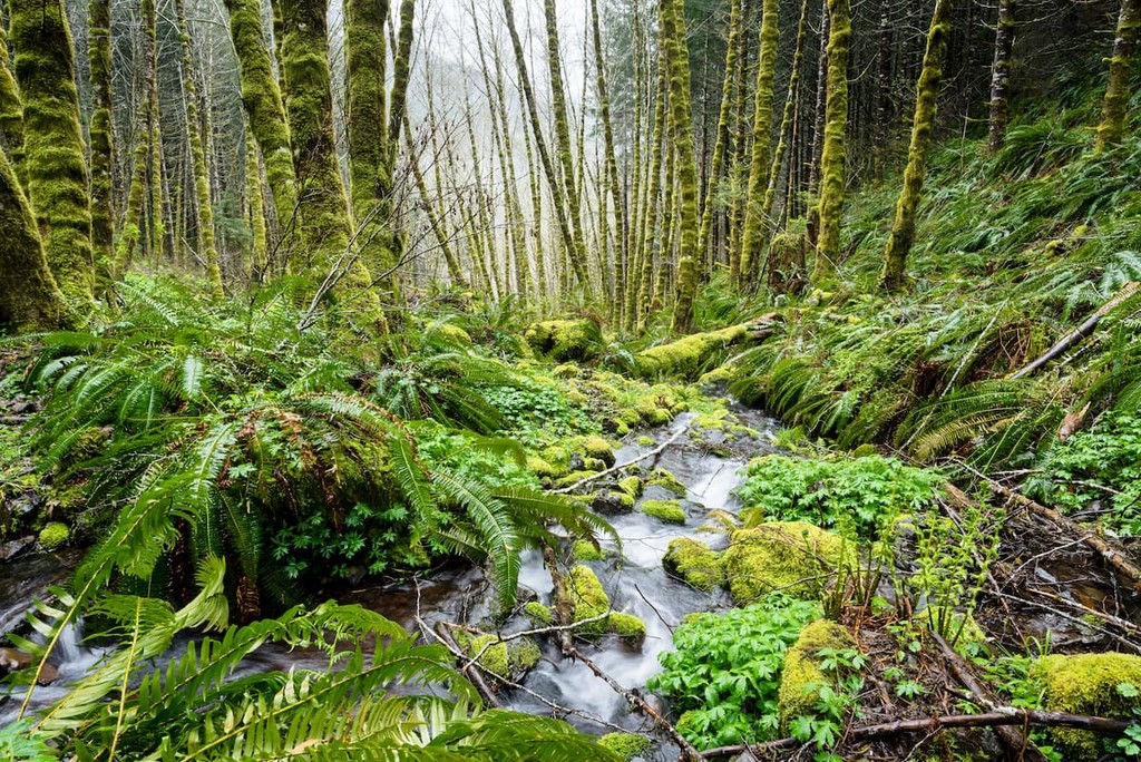 Washington County Mountains