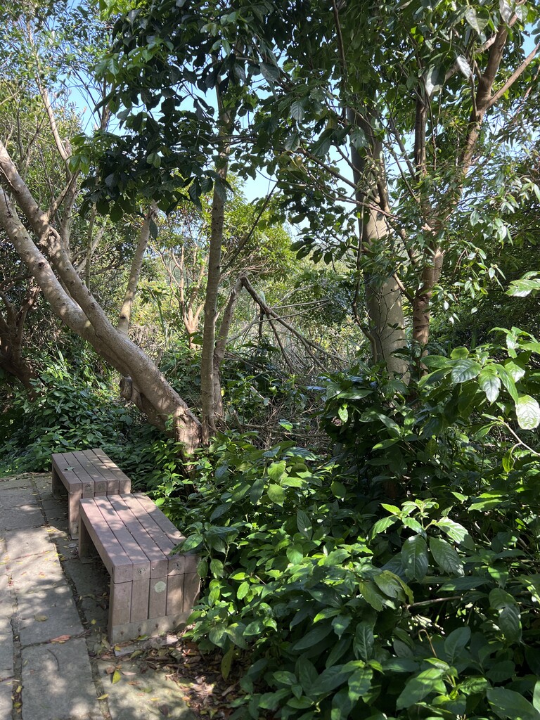Photo №3 of Wubashan