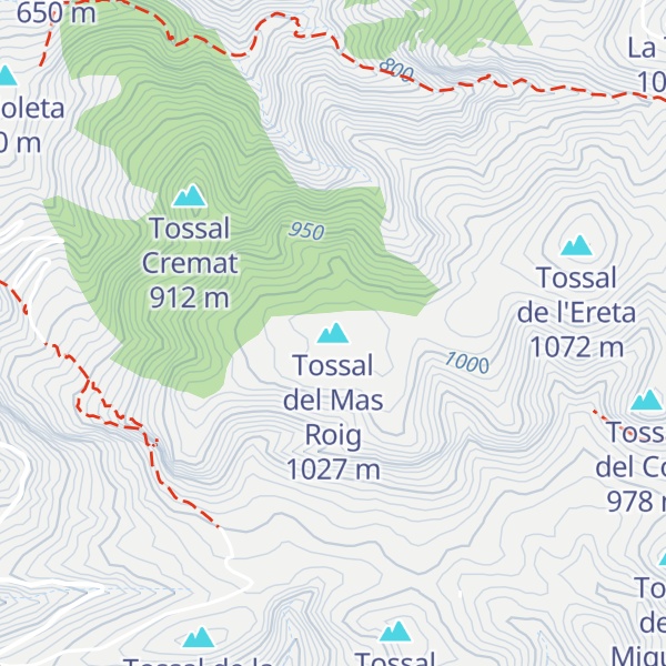Map of Tossal del Mas Roig