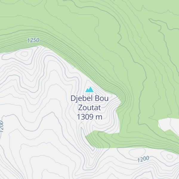 Map of Djebel Bou Zoutat