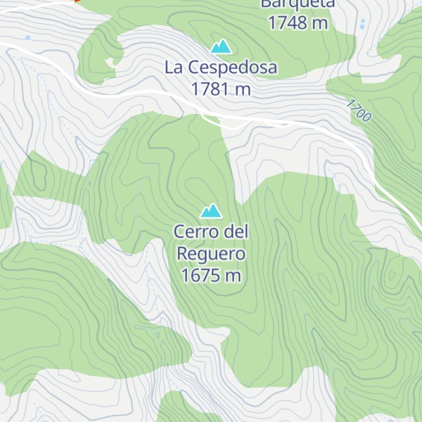 Map of Cerro del Reguero
