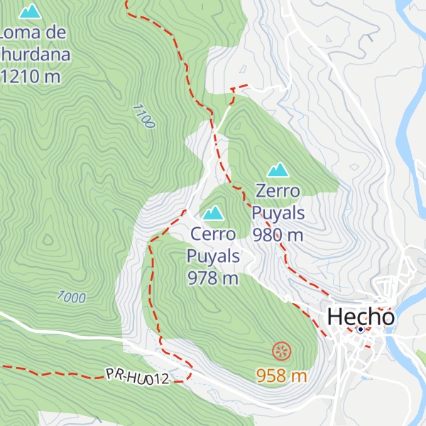 Map of Cerro Puyals