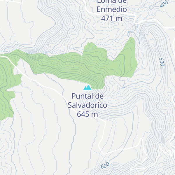 Map of Puntal de Salvadorico