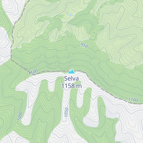 Map of Selva