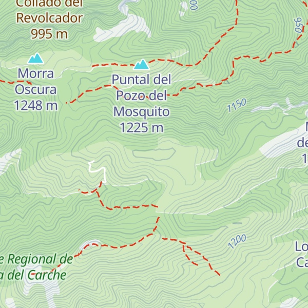 Map of Cerro del Quemado
