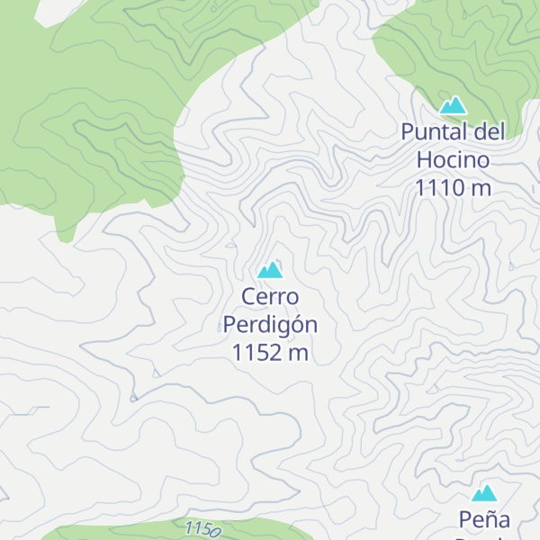 Map of Cerro Perdigón