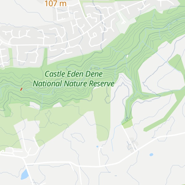 Map of Mount Pleasant