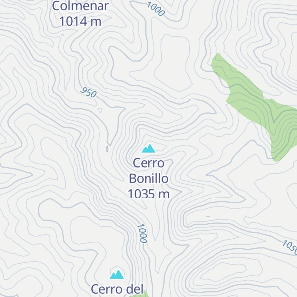 Map of Cerro Bonillo