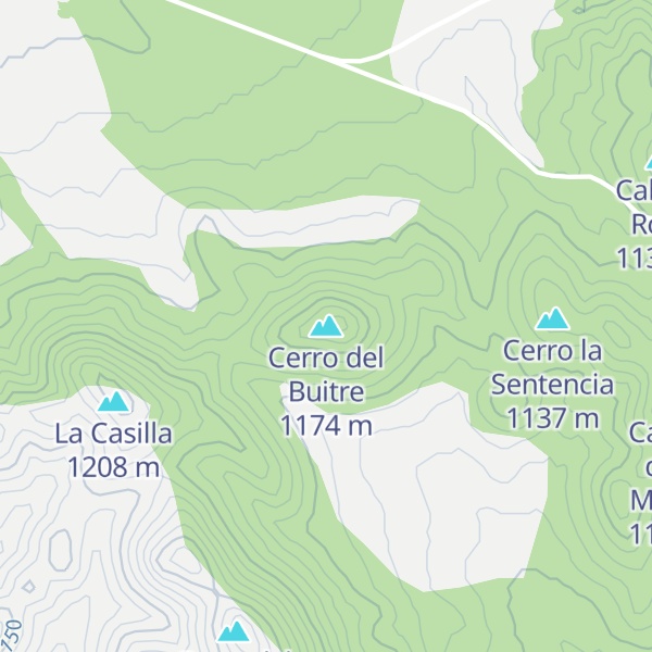 Map of Cerro del Buitre